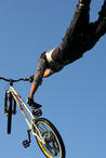 Fotos XC, 4X, Downhill und Trial WM