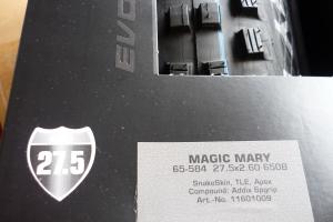 Schwalbe MagicMary zu verkaufen