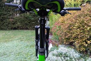 Ragley Piglet Ragley Piglet zu verkaufen
