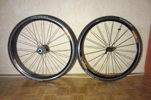 Giant Trinity zu verkaufen