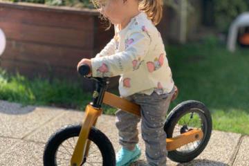 Early Rider Bonsai zu verkaufen