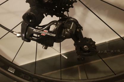 Cipollini Bond zu verkaufen