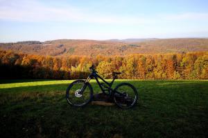 YT Capra Pro Race 2019 / zu verkaufen