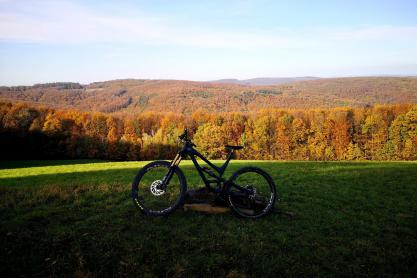 YT Capra Pro Race 2019 / zu verkaufen