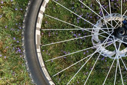 Specialized S-Works Epic Large zu verkaufen