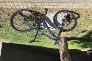 Radon Slide Carbon 160mm zu verkaufen
