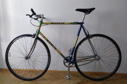 F. Moser Singlespeed Umbau zu verkaufen
