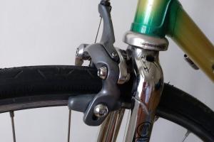F. Moser Singlespeed Umbau zu verkaufen