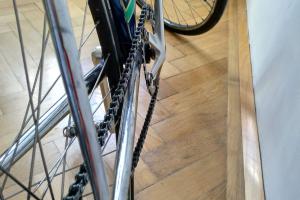 F. Moser Singlespeed Umbau zu verkaufen