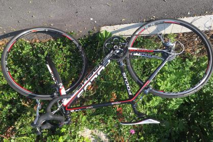 Focus Cayo Tiagra LTD zu verkaufen