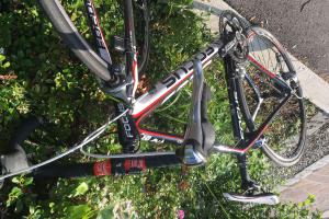 Focus Cayo Tiagra LTD zu verkaufen