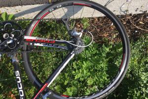 Focus Cayo Tiagra LTD zu verkaufen