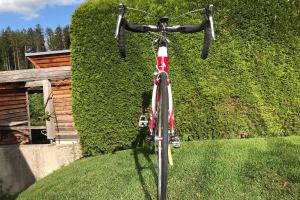 Fuji SST 3.0 zu verkaufen