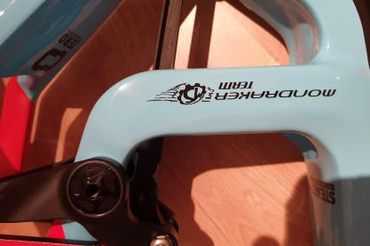 Mondraker Summum Pro Team C zu verkaufen
