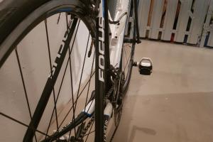 Focus Rennrad Focus Cayo Evo 4.0 zu verkaufen