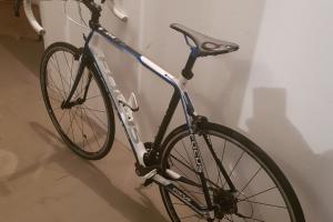 Focus Rennrad Focus Cayo Evo 4.0 zu verkaufen