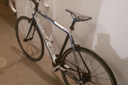 Focus Rennrad Focus Cayo Evo 4.0 zu verkaufen