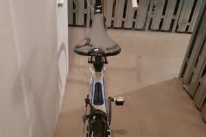 Focus Rennrad Focus Cayo Evo 4.0 zu verkaufen