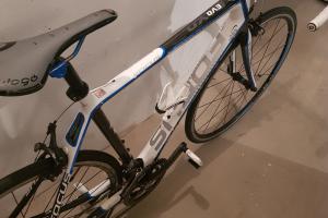 Focus Rennrad Focus Cayo Evo 4.0 zu verkaufen