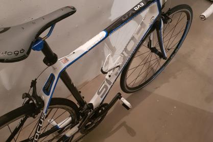 Focus Rennrad Focus Cayo Evo 4.0 zu verkaufen
