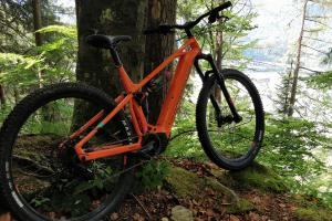 Mondraker chaser XL 29 625wh zu verkaufen