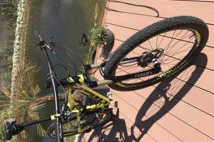 Dainese Fully  zu verkaufen