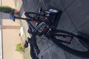 Wilier Blade zu verkaufen