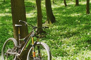 Specialized 2019 S-Works Stumpjumper 29 zu verkaufen