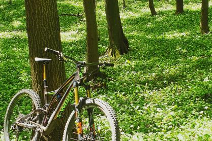 Specialized 2019 S-Works Stumpjumper 29 zu verkaufen