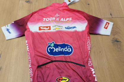Northwave Nortwave Trikot mit Thibaut zu verkaufen