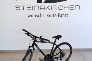 Detailansicht