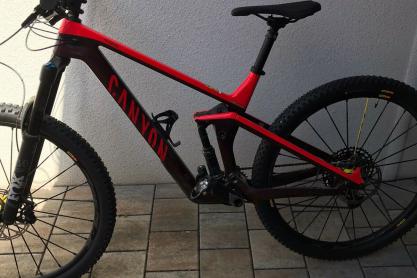 Canyon Strive CF 5.0 29 Mountainbike zu verkaufen