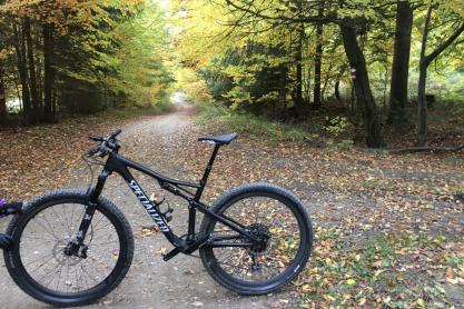 Specialized Epic Expert Carbon Evo zu verkaufen