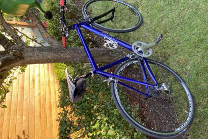 Intec Strassen/Rennrad zu verkaufen