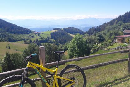 Santa Cruz Tallboy Carbon R2X zu verkaufen