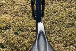 Specialized Fate Comp Carbon 29 zu verkaufen