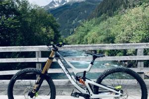 Santa Cruz V10 CC zu verkaufen