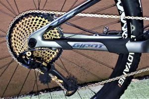 Giant Anthem Advanced 1 29 zu verkaufen
