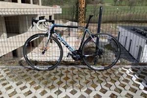 Focus Izalco Max Team 56 zu verkaufen