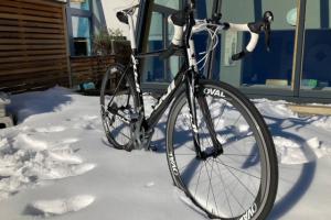 Fuji Altamira 2.0 zu verkaufen