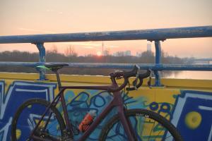 Rose Xeon CDX Cross - Di2 / DT zu verkaufen