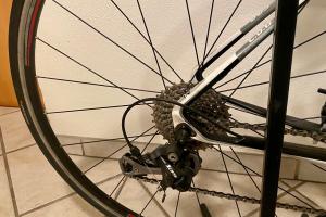 Focus Izalo RH 54 Ultegra  zu verkaufen