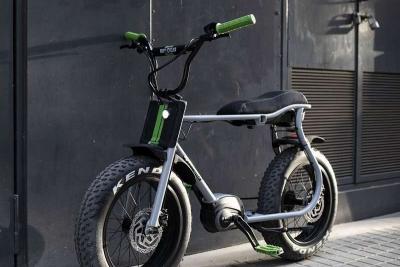Ruff Cycles Ruff Cycles Lil Buddy, grau zu verkaufen