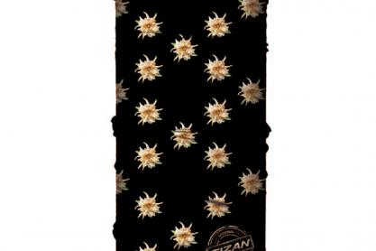 Fizan Fizan Headband verschiedene zu verkaufen