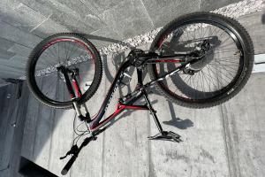 Specialized Camber Evo 29‘‘ zu verkaufen