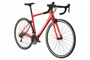Cannondale CAAD Optimo 1 zu verkaufen