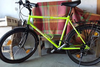 Wheeler Pro line mountain 2100 zu verkaufen