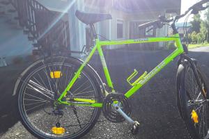 Wheeler Pro line mountain 2100 zu verkaufen
