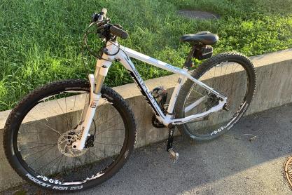 Simplon Cure 29 zu verkaufen