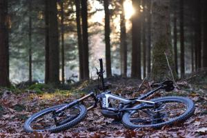 Simplon Rapcon 140 (160 Fox34 zu verkaufen